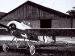 Late production Fokker E.1 54/15 with AA Gaede black & white bands (012140-159)